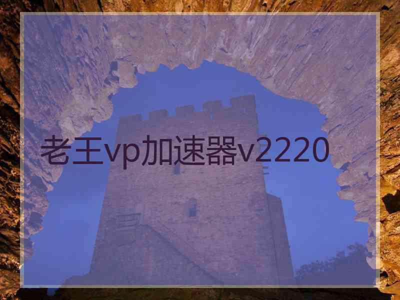 老王vp加速器v2220