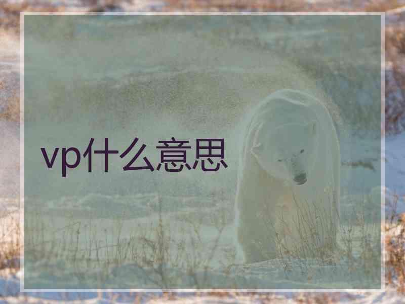 vp什么意思