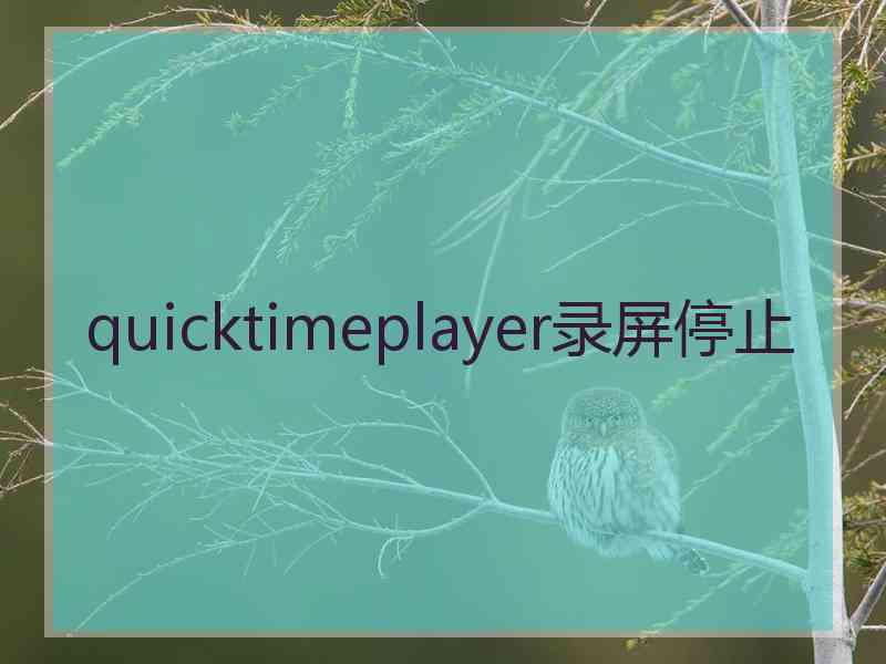 quicktimeplayer录屏停止