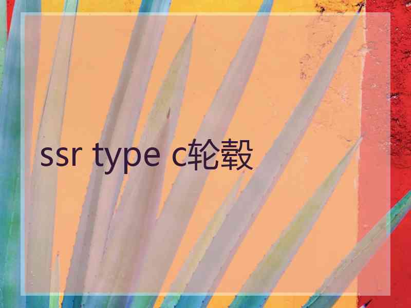 ssr type c轮毂