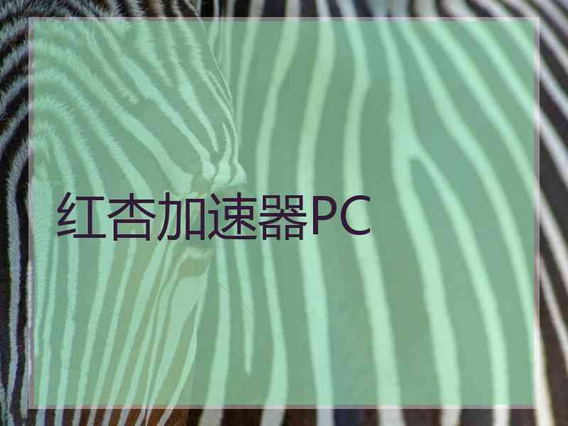 红杏加速器PC