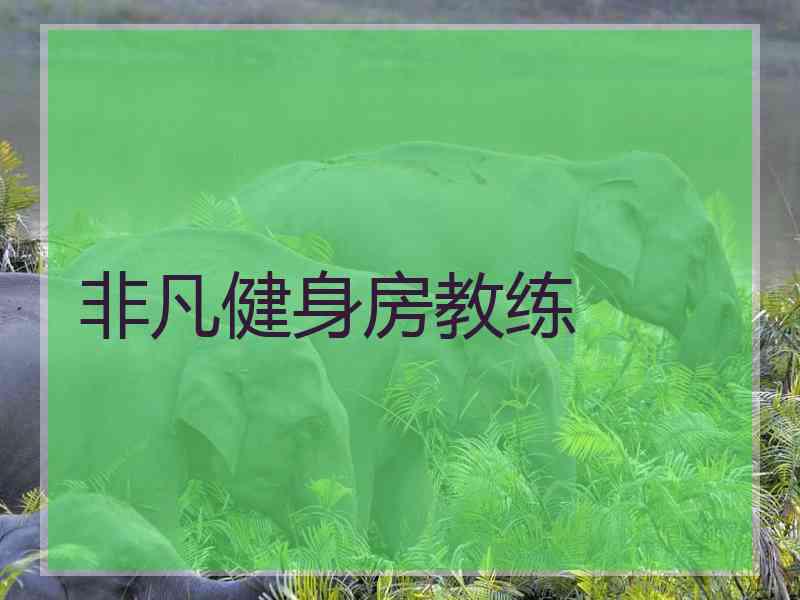 非凡健身房教练