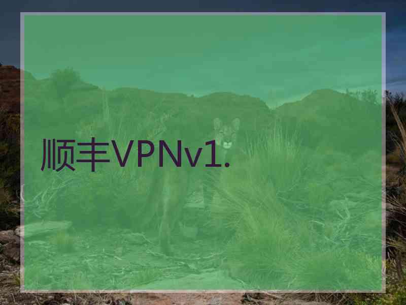 顺丰VPNv1.