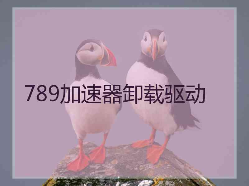 789加速器卸载驱动