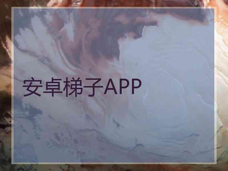 安卓梯子APP