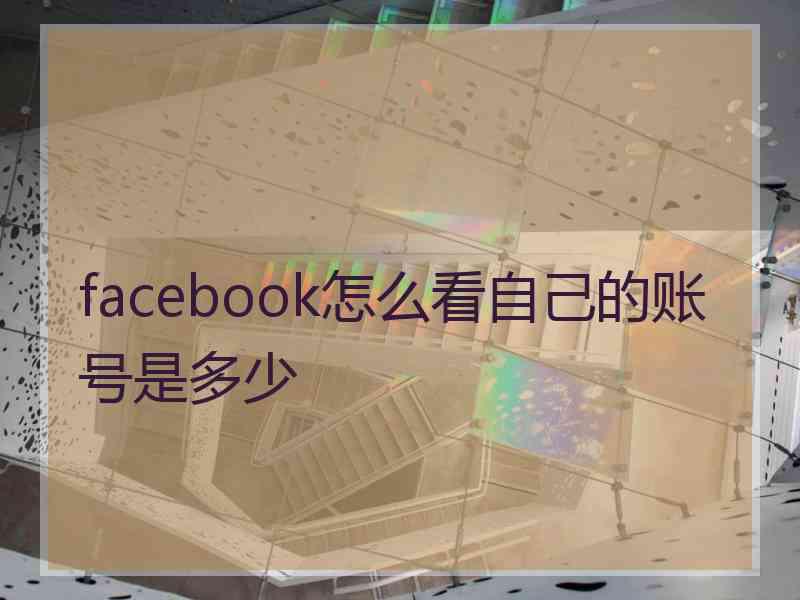 facebook怎么看自己的账号是多少