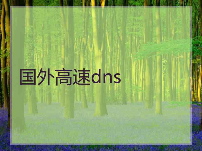 国外高速dns