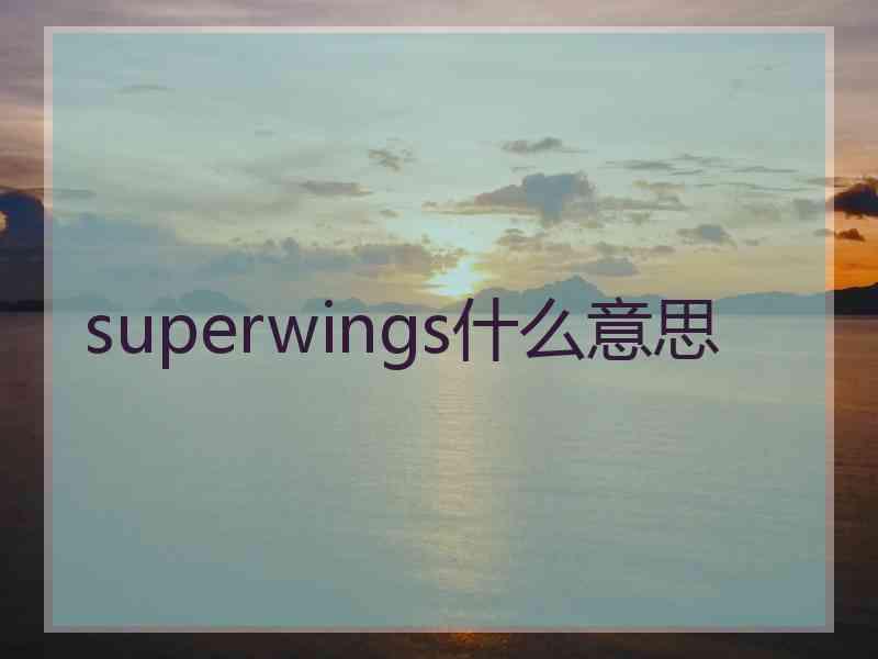 superwings什么意思