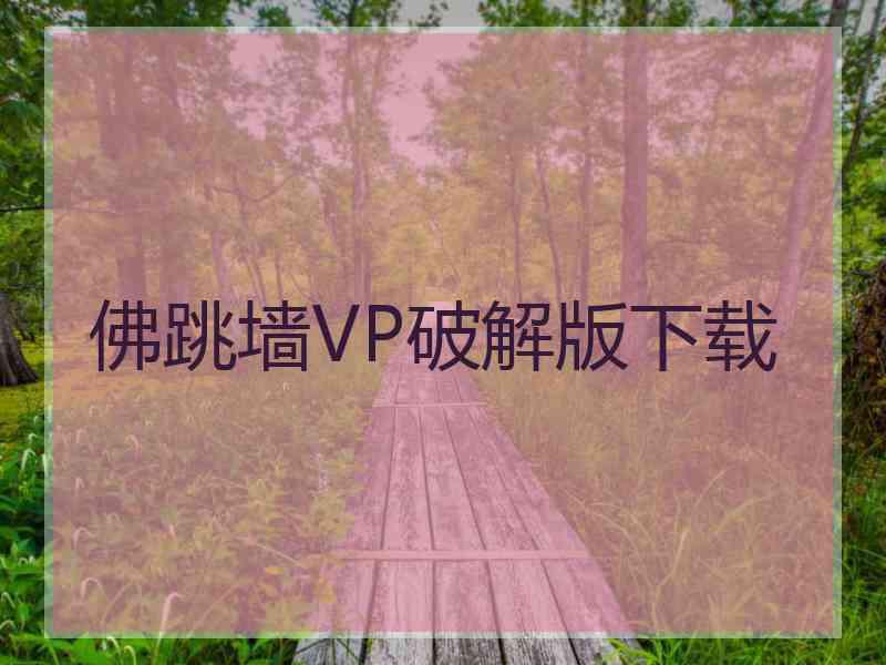 佛跳墙VP破解版下载