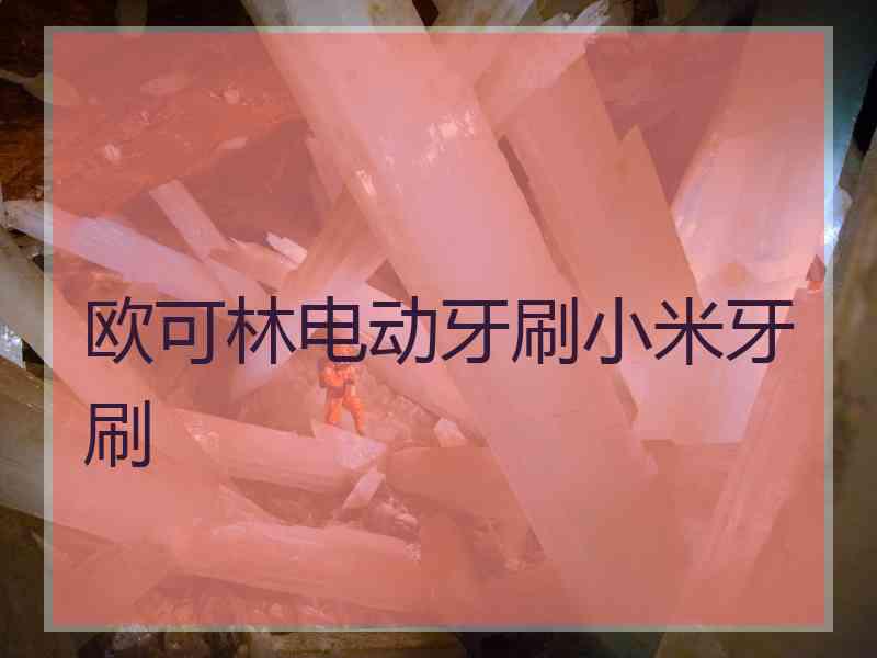 欧可林电动牙刷小米牙刷