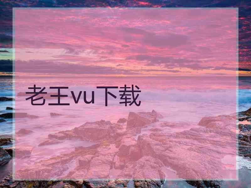 老王vu下载