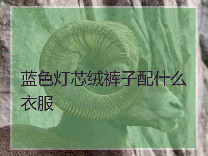 蓝色灯芯绒裤子配什么衣服
