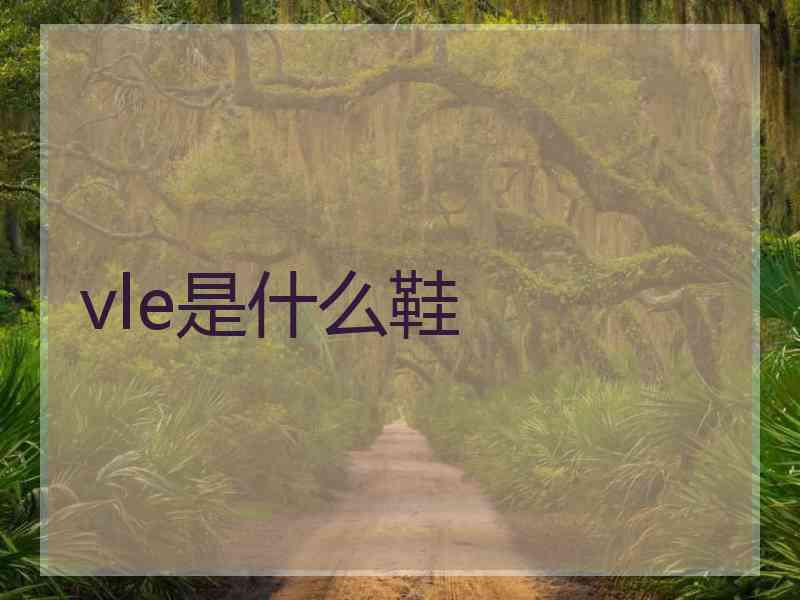 vle是什么鞋
