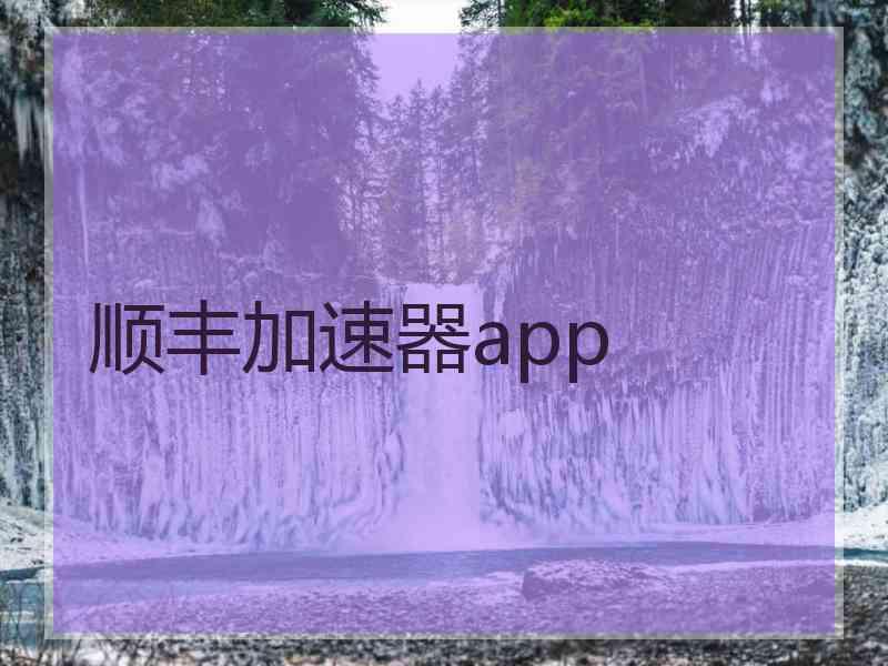 顺丰加速器app