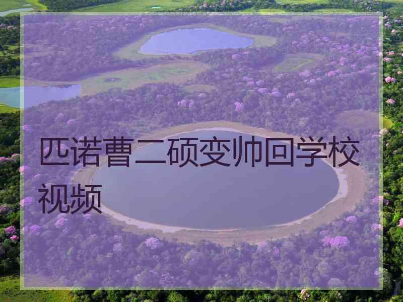 匹诺曹二硕变帅回学校视频