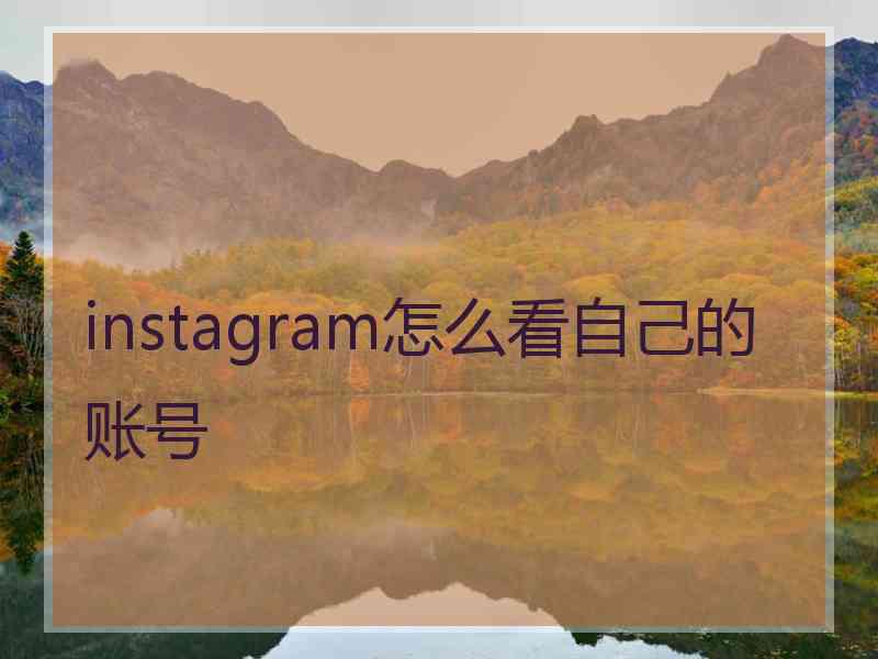 instagram怎么看自己的账号