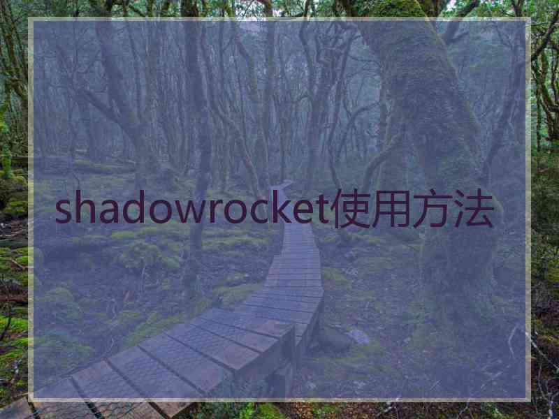 shadowrocket使用方法