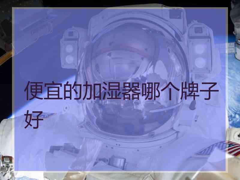 便宜的加湿器哪个牌子好