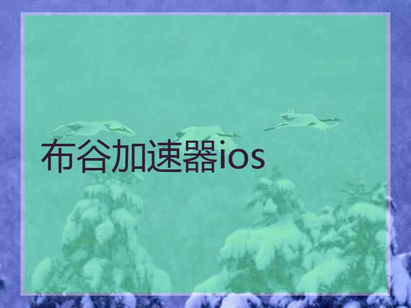 布谷加速器ios