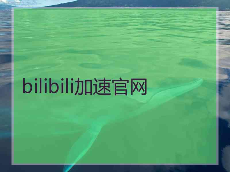 bilibili加速官网
