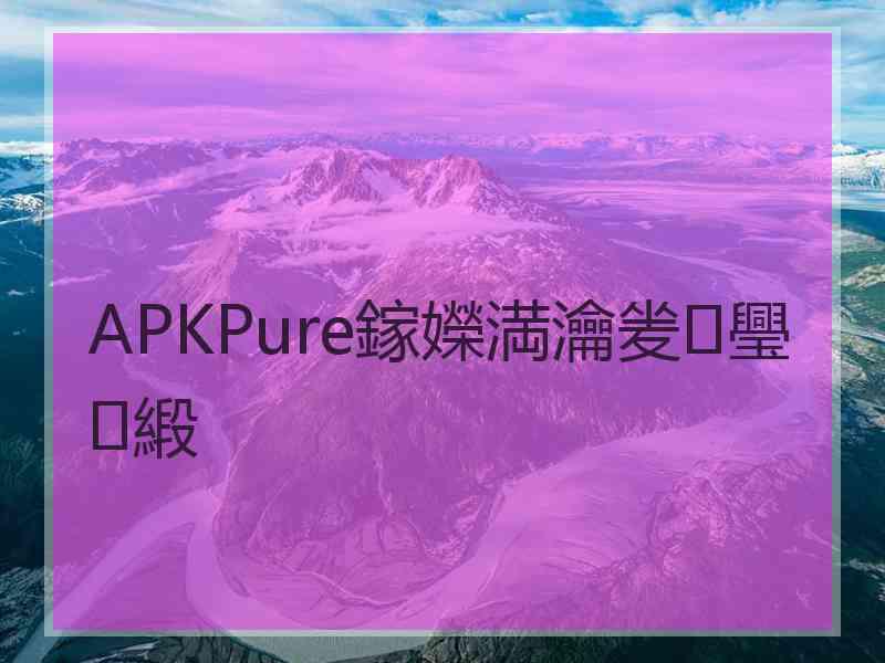 APKPure鎵嬫満瀹夎璺緞