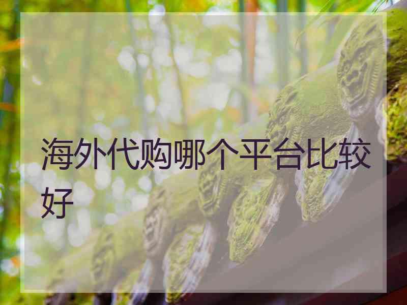 海外代购哪个平台比较好