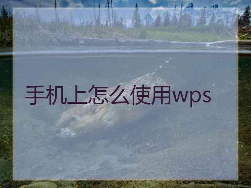 手机上怎么使用wps