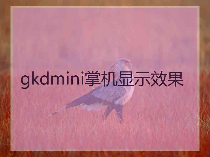 gkdmini掌机显示效果