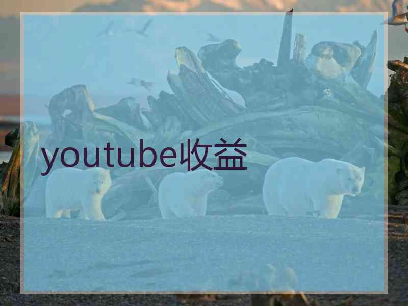 youtube收益