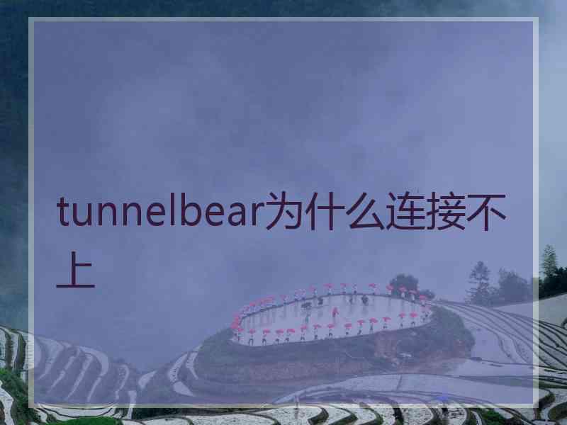 tunnelbear为什么连接不上