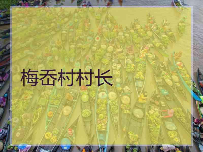 梅岙村村长