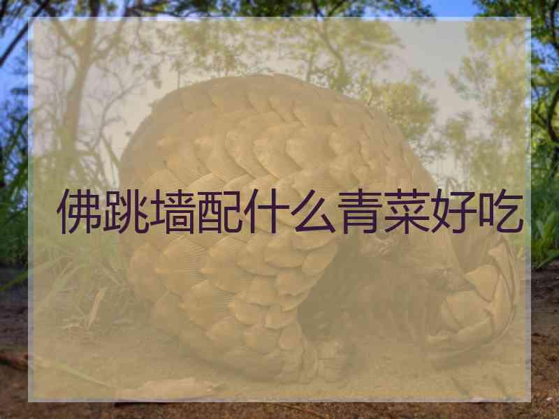 佛跳墙配什么青菜好吃 佛跳墙配什么青菜好吃