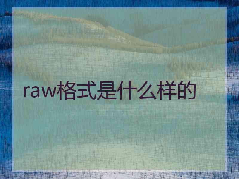 raw格式是什么样的