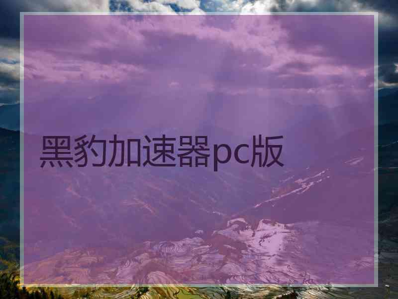 黑豹加速器pc版