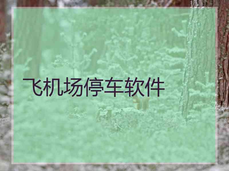 飞机场停车软件