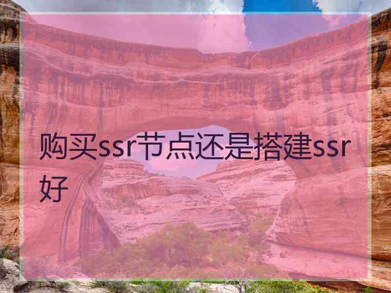 购买ssr节点还是搭建ssr好