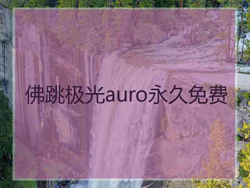 佛跳极光auro永久免费