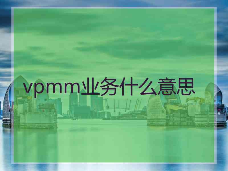 vpmm业务什么意思