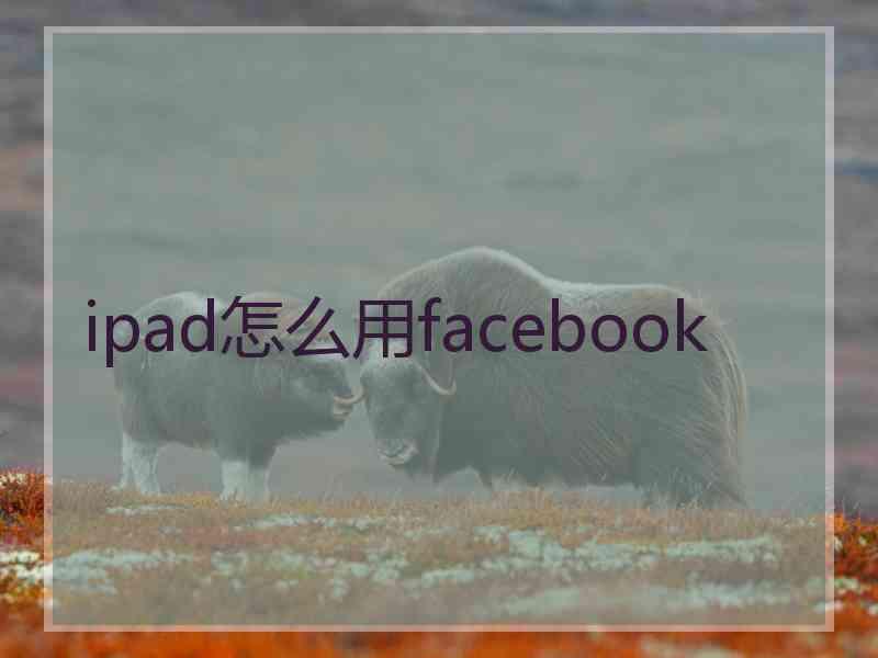 ipad怎么用facebook