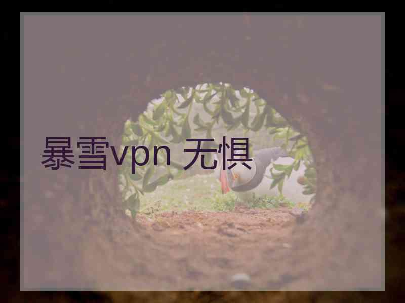 暴雪vpn 无惧