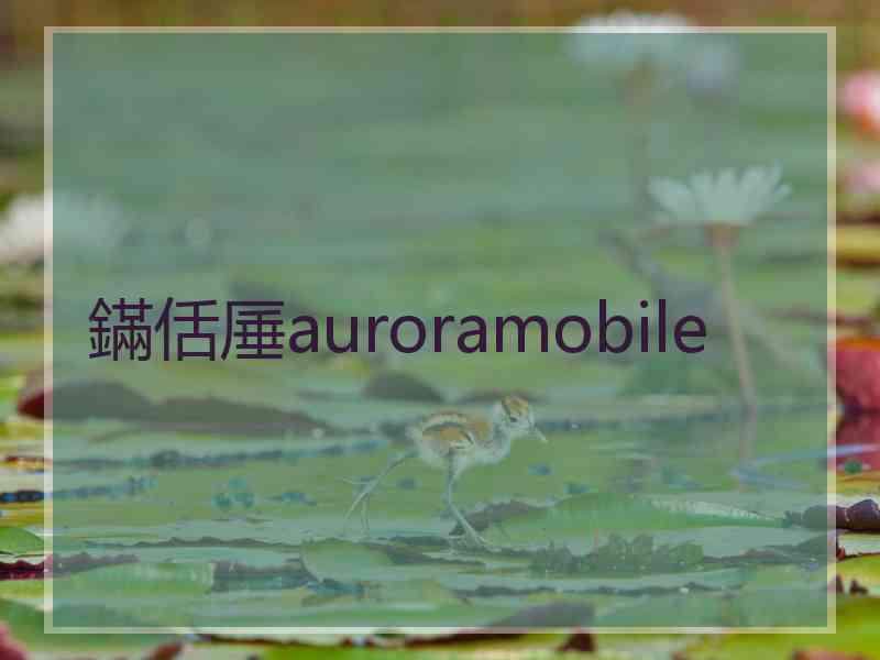 鏋佸厜auroramobile