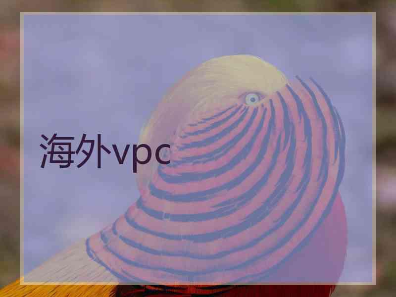 海外vpc