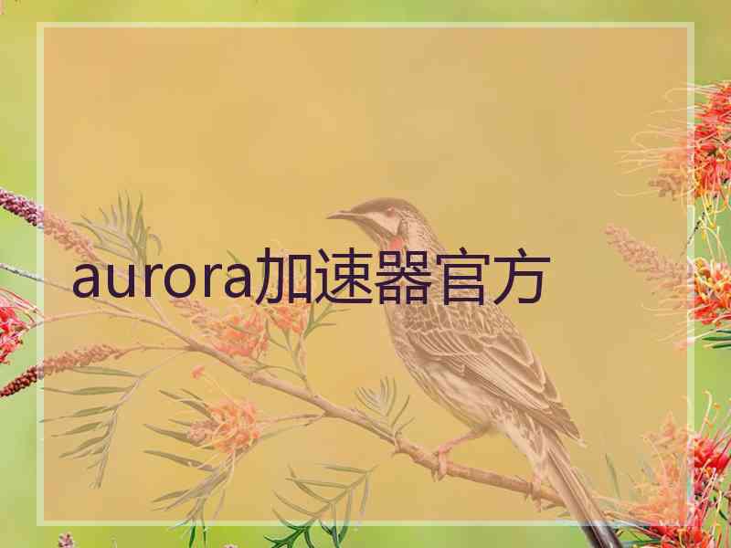 aurora加速器官方