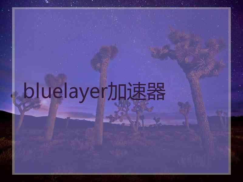 bluelayer加速器