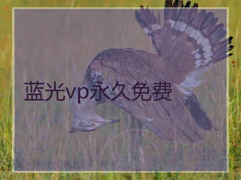 蓝光vp永久免费