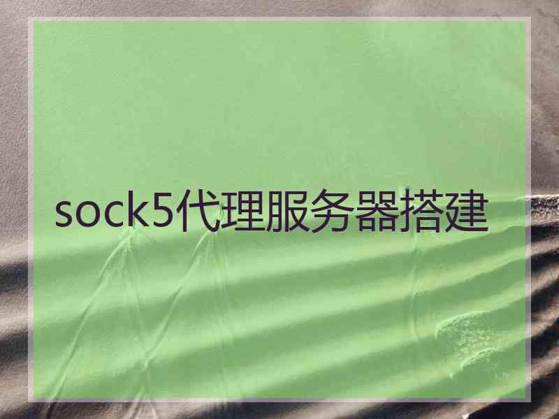 sock5代理服务器搭建