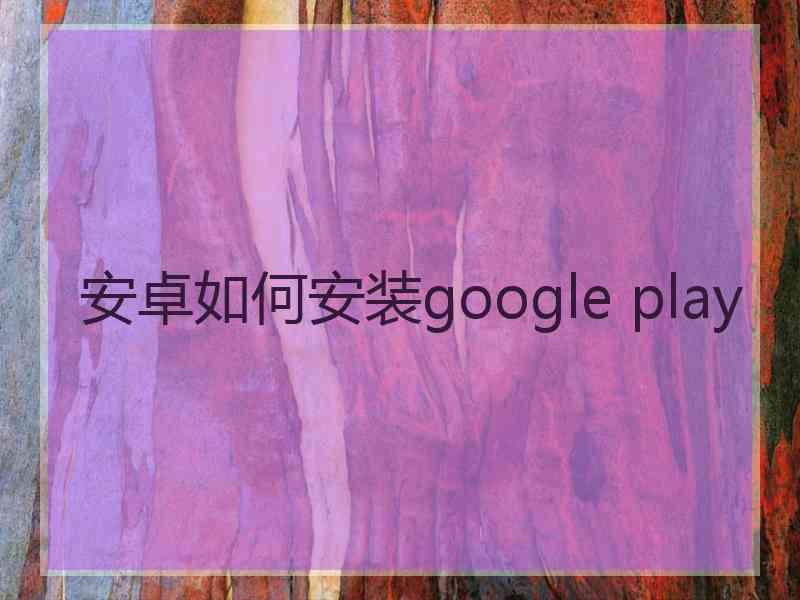 安卓如何安装google play