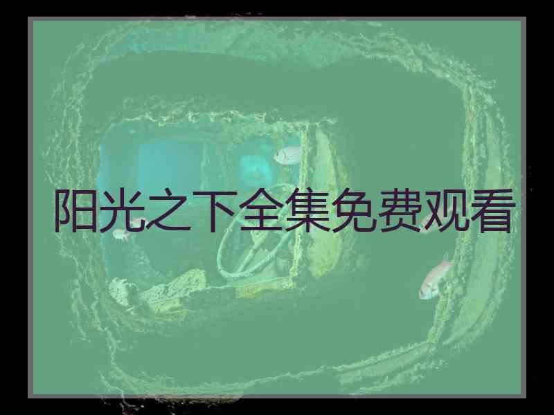 阳光之下全集免费观看