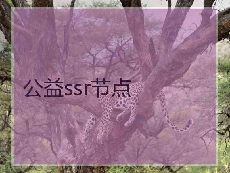 公益ssr节点