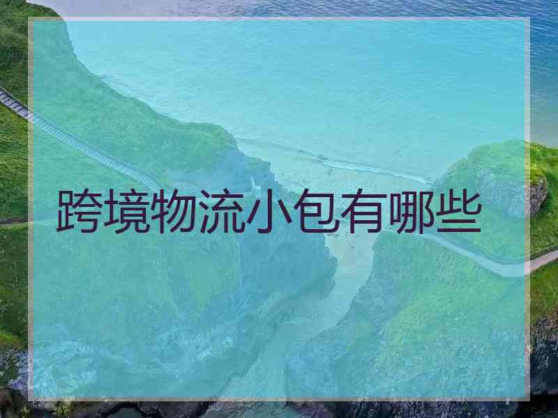 跨境物流小包有哪些